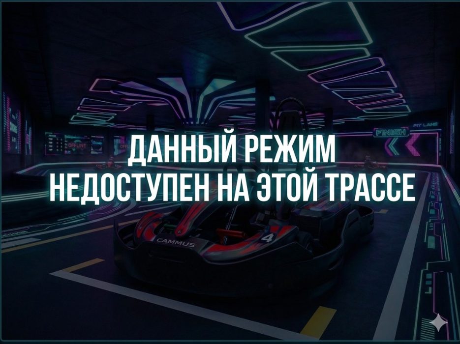 Электрокарт «Профессионал», до 90 км/ч
